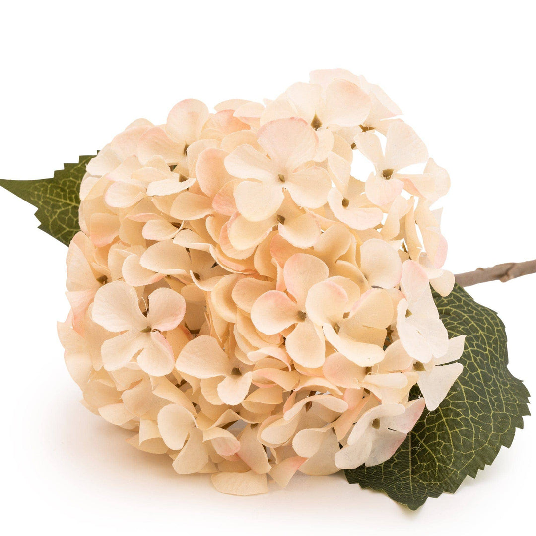 Artificial Single Hydrangea TwoTone Cream Faux Stem 46cm