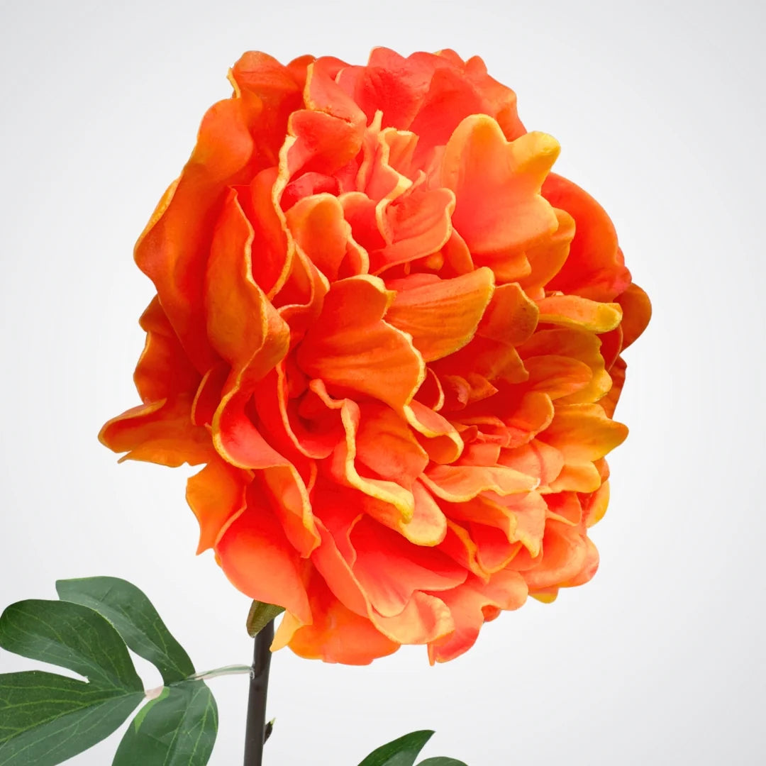 Artificial Chloe Orange Blooming Peony Stem