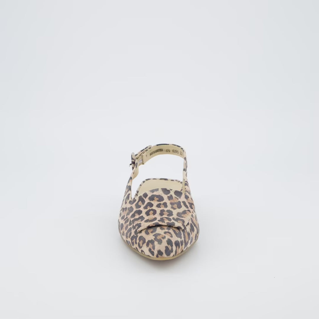 Paul Green Leopard Pointed Pump