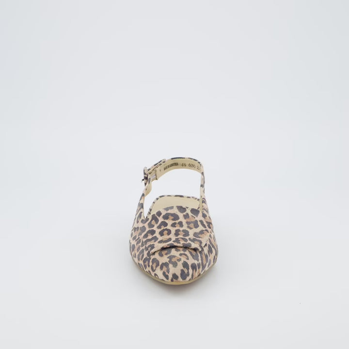 Paul Green Leopard Pointed Pump