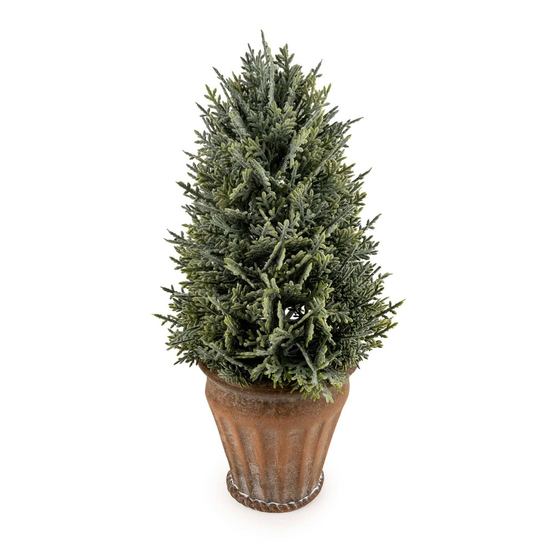 29cm Cypress Tree in Pot