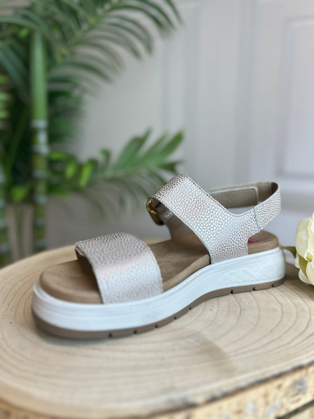 Fluchos Star Taupe Sandal