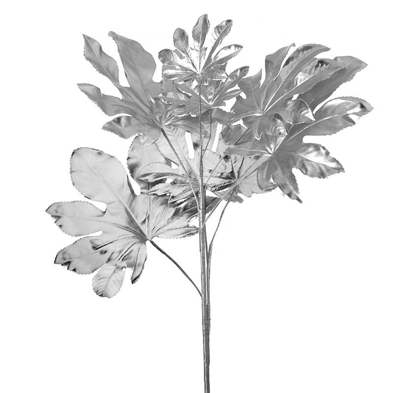Silver Leaves On Stem