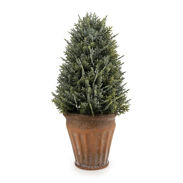 29cm Cypress Tree in Pot