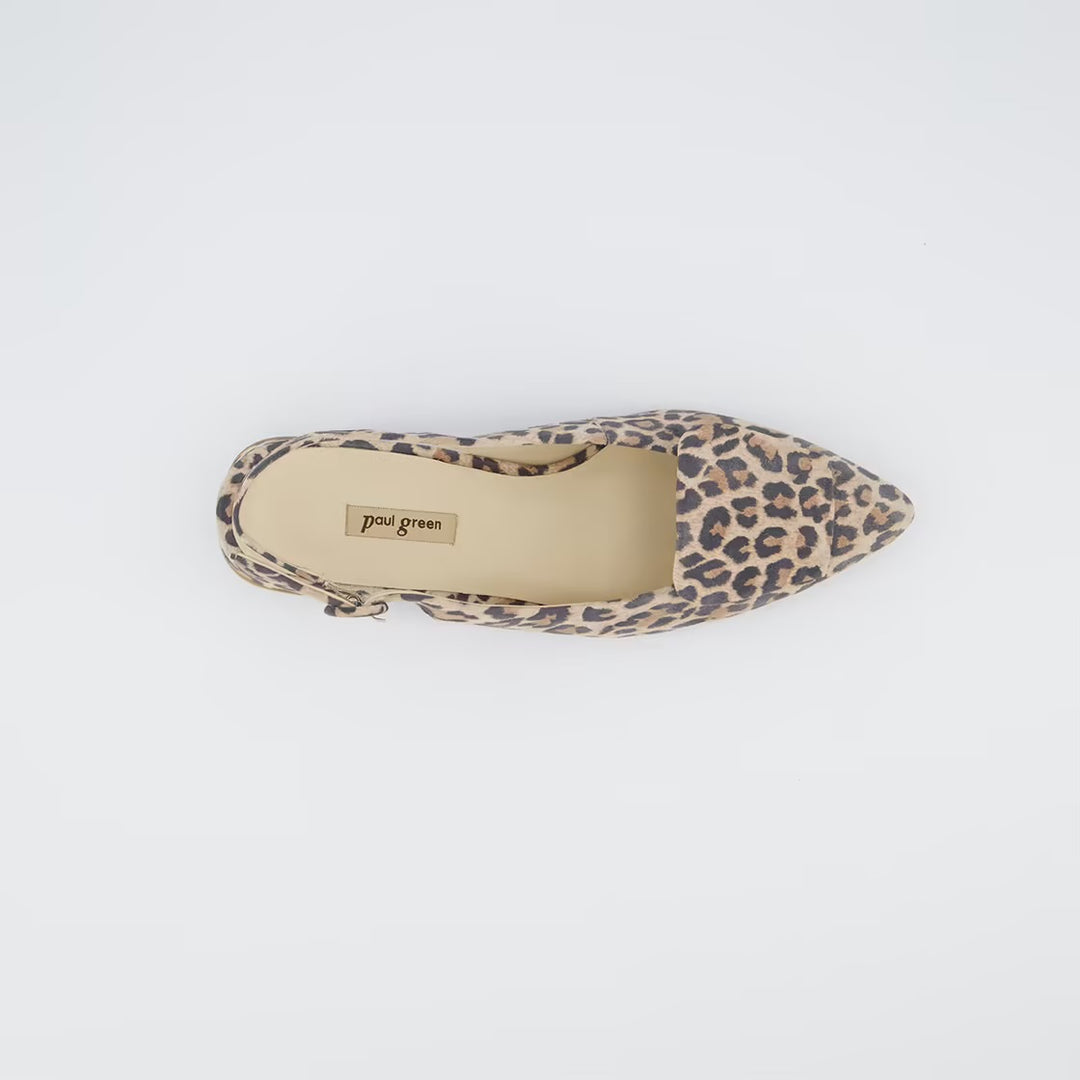 Paul Green Leopard Pointed Pump