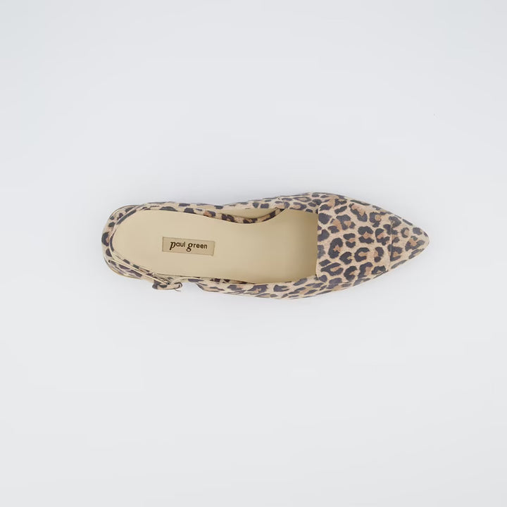 Paul Green Leopard Pointed Pump