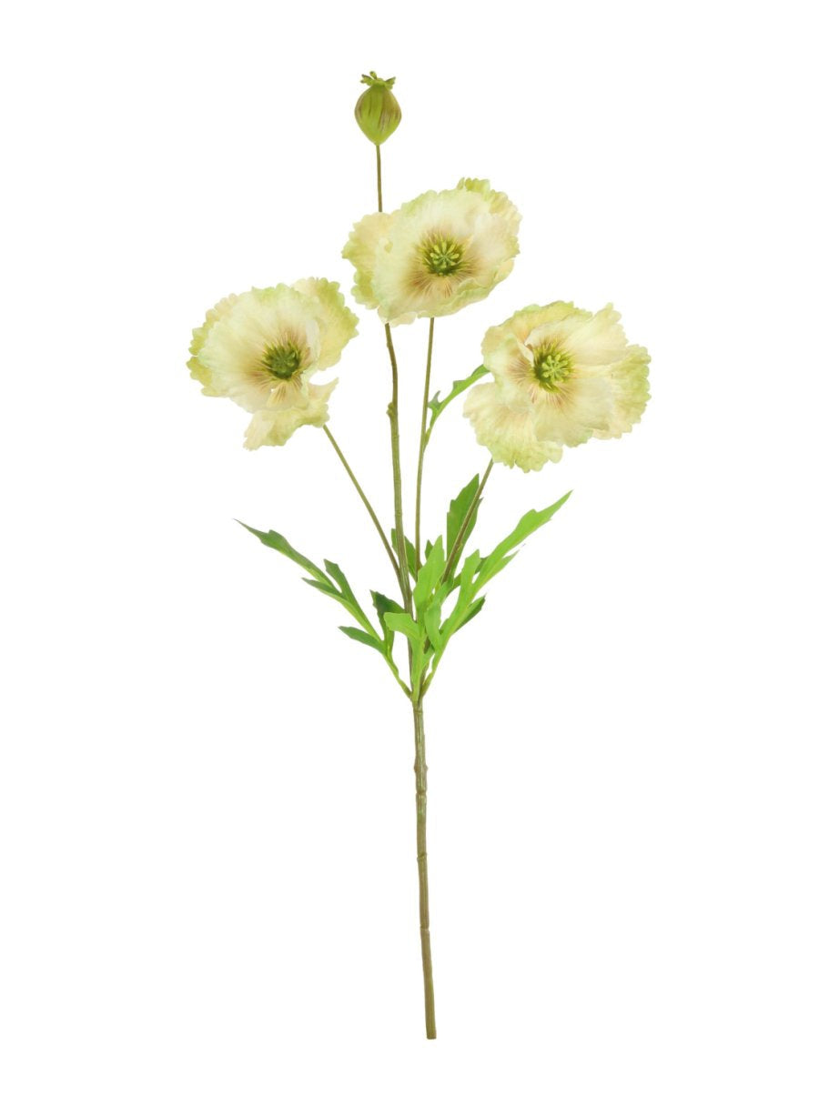 Artificial Shirley Poppy Flower | Green/Cream
