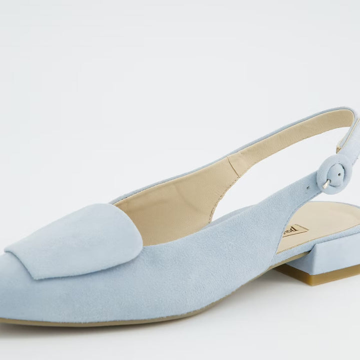 Paul Green Samtziege Acqua