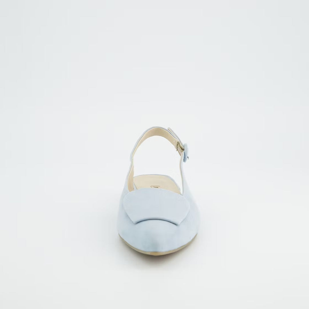 Paul Green Samtziege Acqua