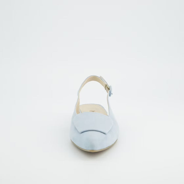 Paul Green Samtziege Acqua