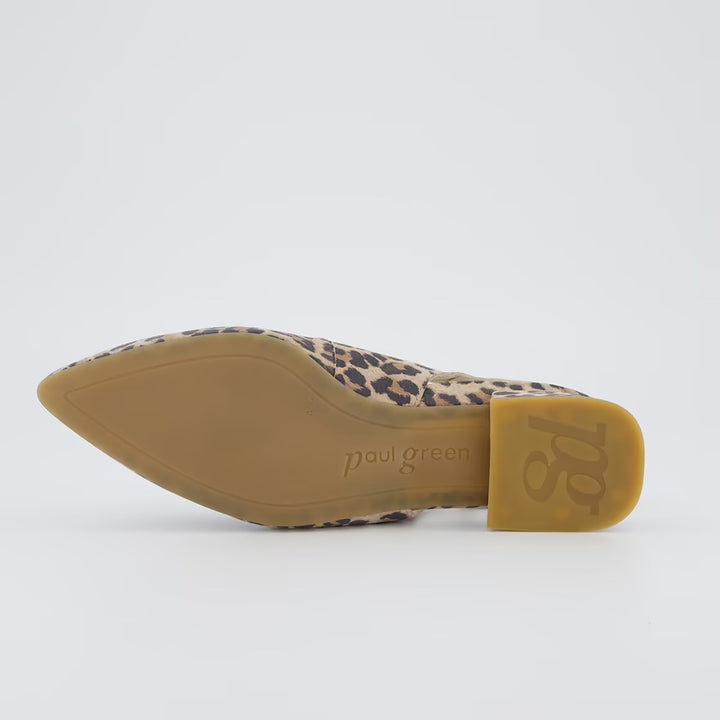 Paul Green Leopard Pointed Pump