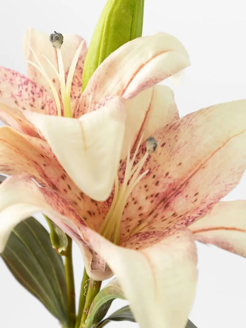Artificial Pink/Cream Lily Spray