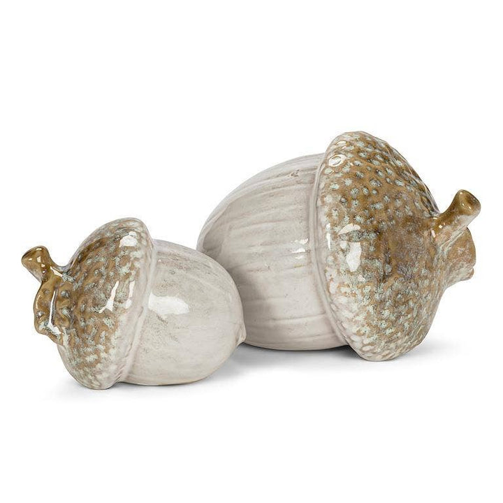 Large Acorn