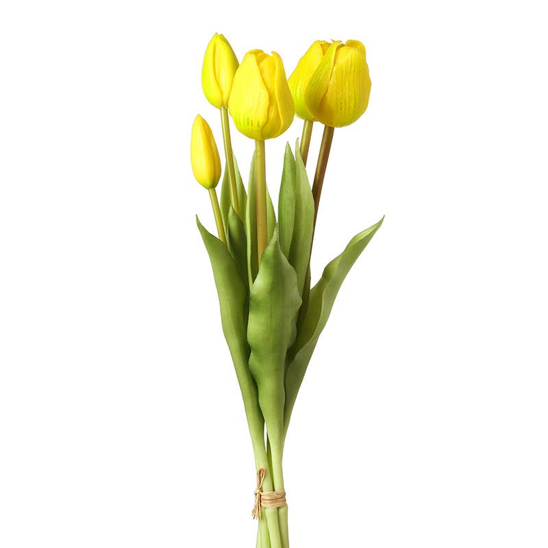Large Yellow Tulips