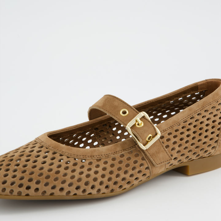 Paul Green Samtziege Dakar Flats