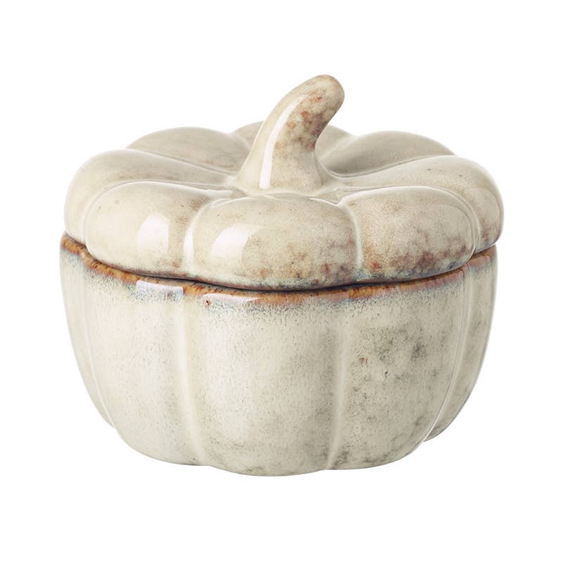 Autumn-CERAMIC PUMPKIN POT