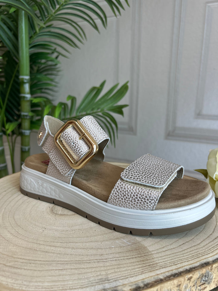 Fluchos Star Taupe Sandal