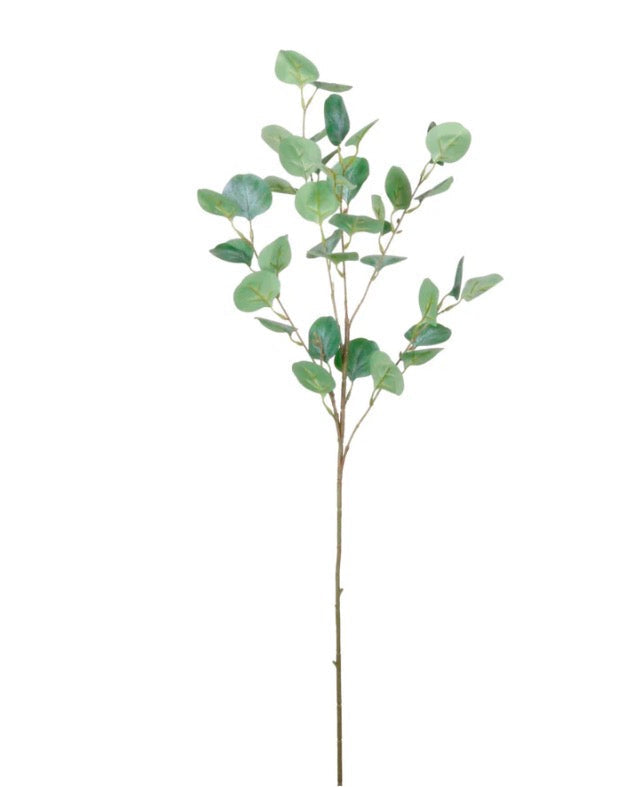 Natural Silver Dollar Eucalyptus Spray