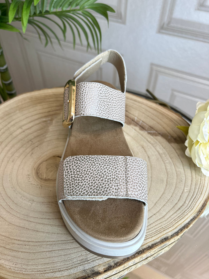 Fluchos Star Taupe Sandal
