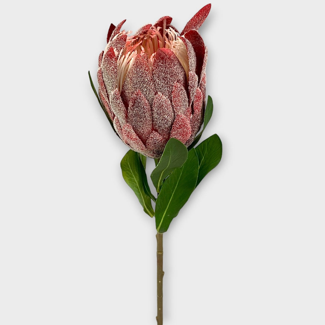 Artificial Pink Protea Single Flower Stem