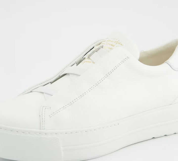 Paul Green Maincalf | White