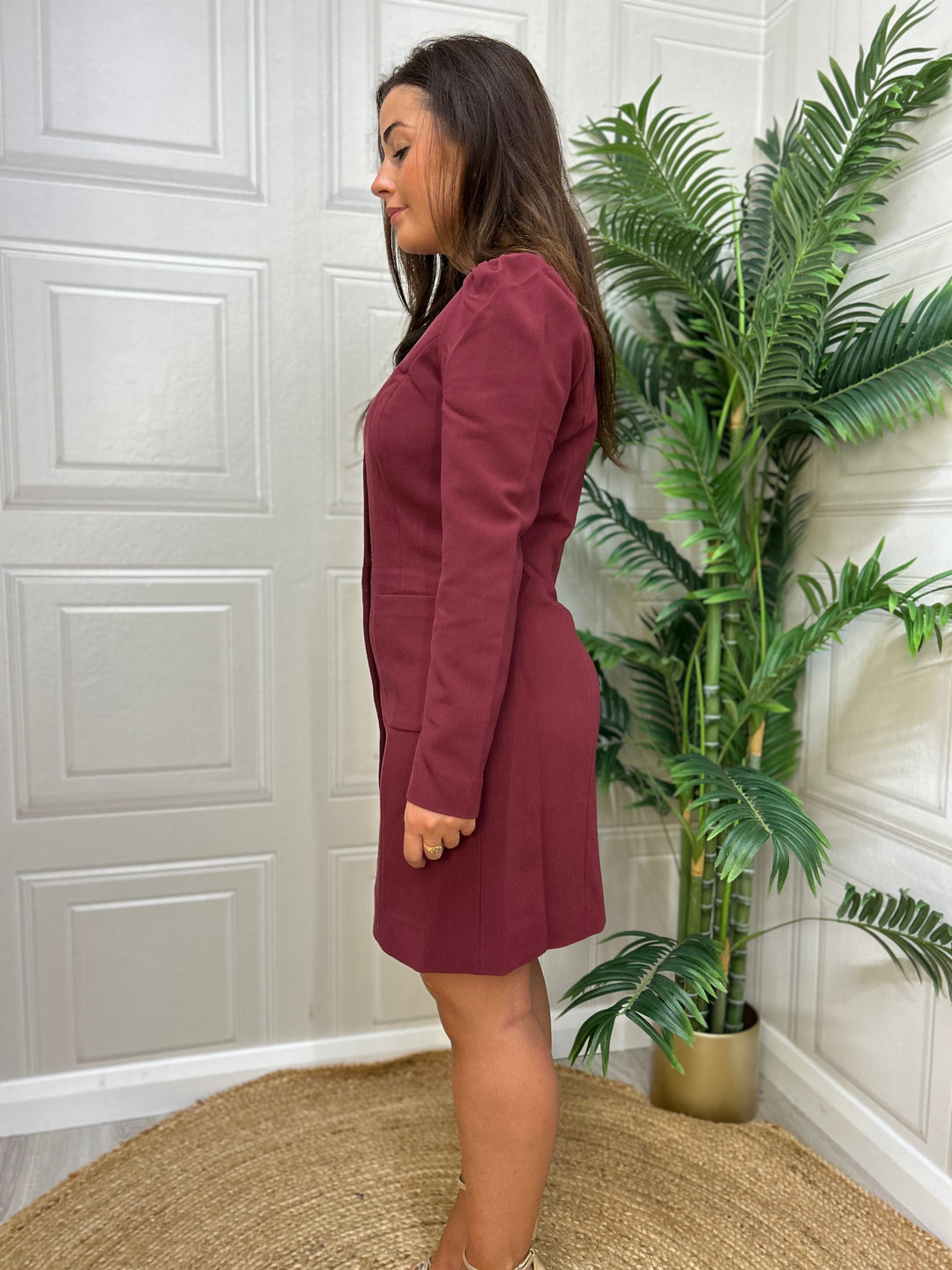 French Connection Celine Button Dress