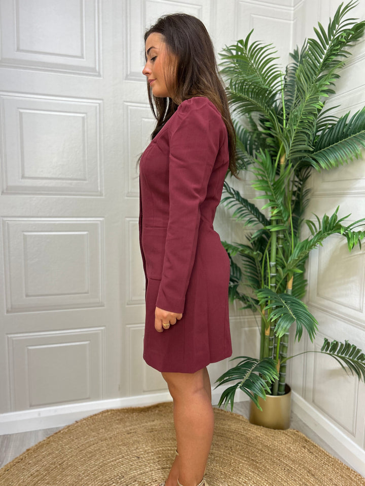 French Connection Celine Button Dress