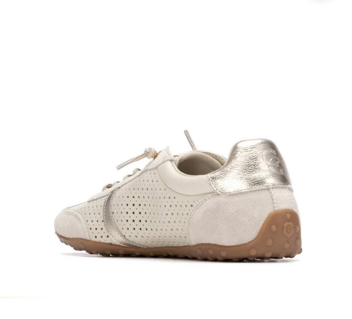 Carmela Zapato Sra Serr Hielo Runner - 16310901