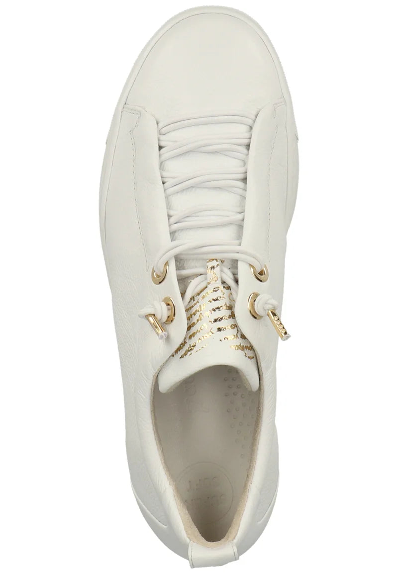 Paul Green Maincalf Ivory/Gold Runner