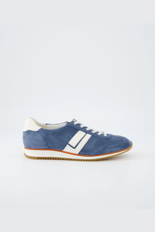 Paul Green Suede/Star Nappa Lake/Cream Sneaker