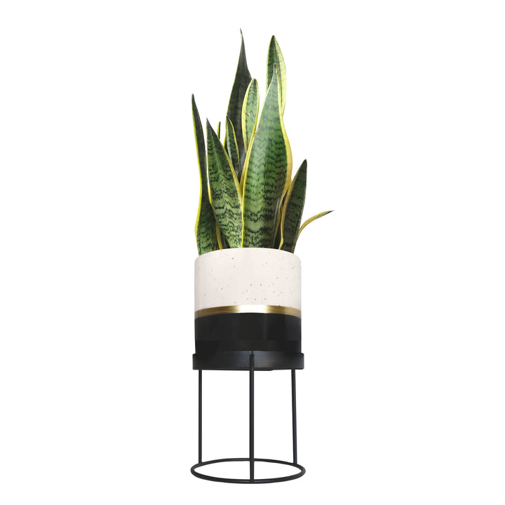 Urban Gardener Small Ceramic Plant Pot with Stand