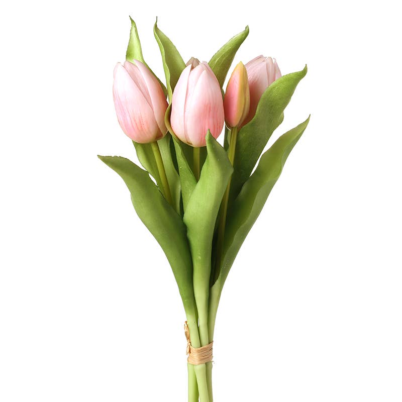 Pink Tulips In Bunch